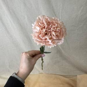 Гвоздики поштучно