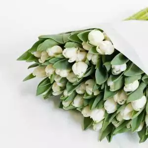 Тюльпаны в Волгодонске купить от 3 640 руб. за букет / Доставка на дом