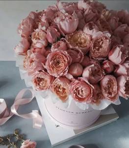 Пионовидные розы "Нежный коралл" в коробке