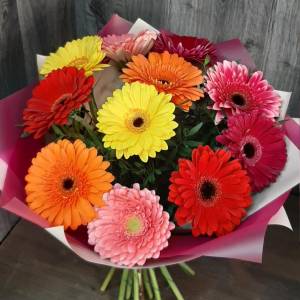 Монобукет из разноцветной герберы