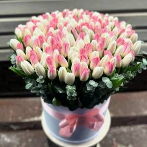 Нежные тюльпаны в коробке