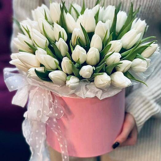 51 тюльпан в коробке