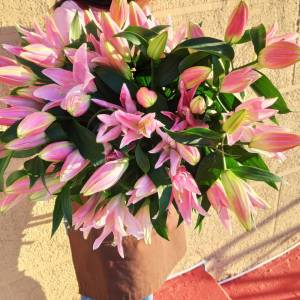 9 розовых лилий