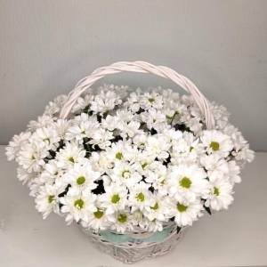 Кустовая хризантема в корзине