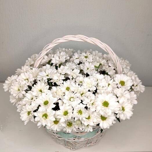 Кустовая хризантема в корзине