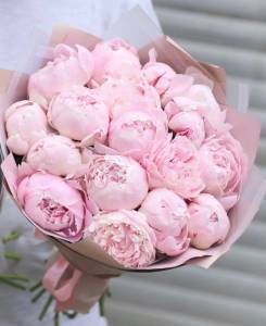 Букет из 17 пионов