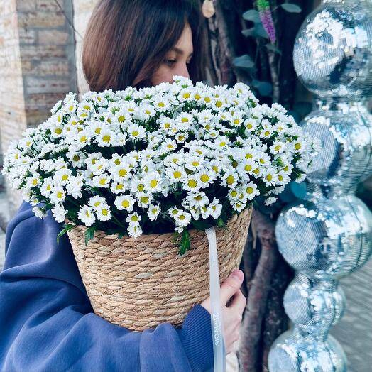 Корзина с ромашками сантини 