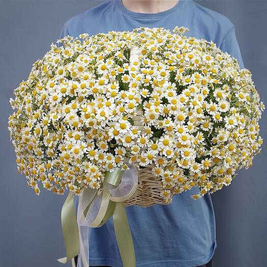 Корзина ромашек