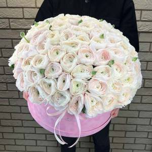 101 ранункулюс в коробке