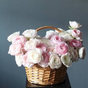 51 ранункулюс в корзине