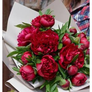 Букет пионов "Взрыв страсти"